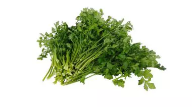 garnishing-instructions-image